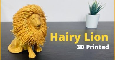 3D Printed Hairy Lion